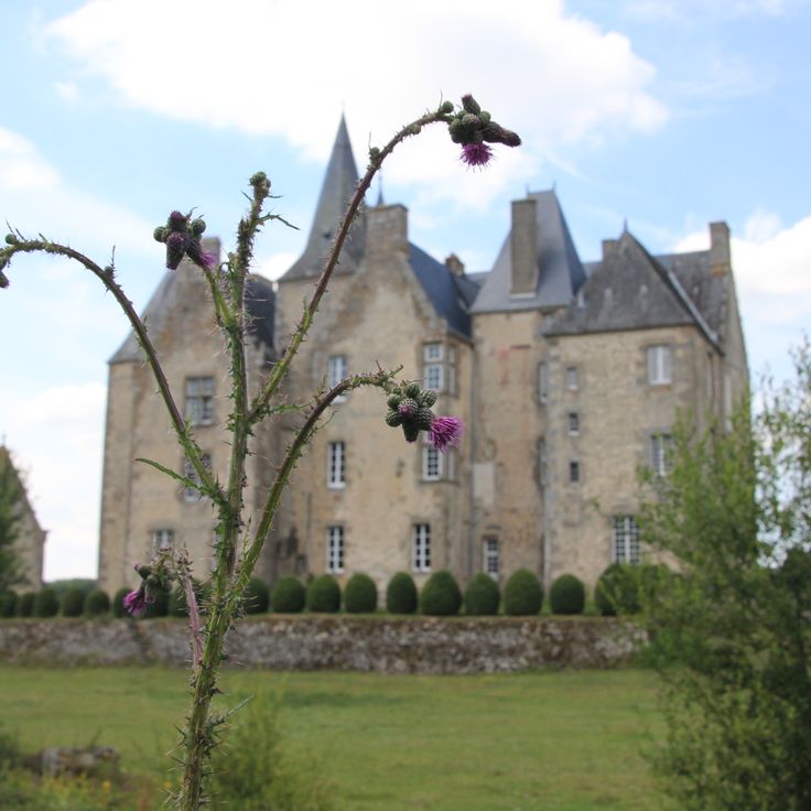 Château de Bourgon