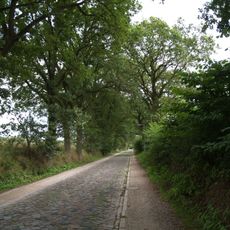 Straße zwischen Ohe und Sachsenwaldau