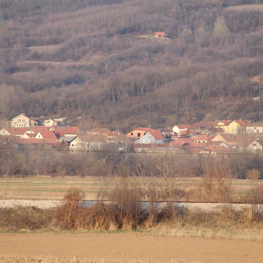 Kučevo Municipality