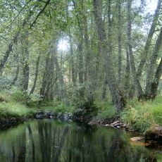Montesinho Nature Park