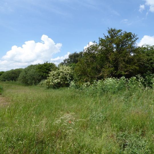 Lakenheath Poor's Fen