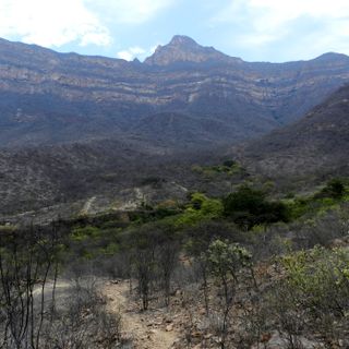 Private Conservation Area Chaparrí