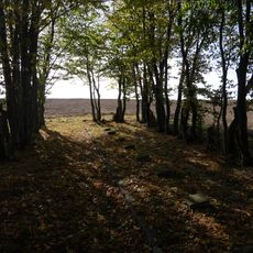 World War I Cemetery in Łysakowo