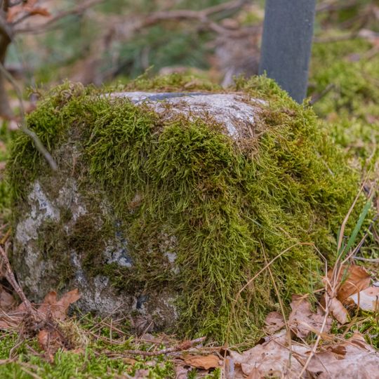 Grenzstein Obere Gemeinde, Fünfzigmorgen in Fürth
