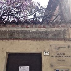 Museo paleontologico "Giulio Maini"