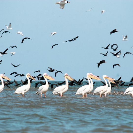 Danube Biosphere Reserve in Ukraine