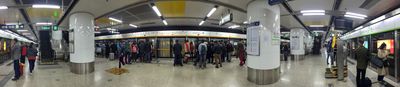 Panoramic View 1