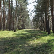 Mönchbruch von Mörfelden u.Rüsselsheim u.Gundwiesen von Mörfelden