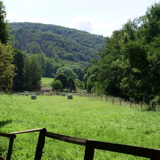 Ruraue von Heimbach bis Obermaubach