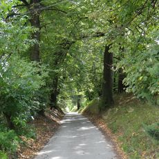 Park (sad, starodrzew, droga dojazdowa z drzewami, staw)