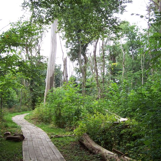 Parco nazionale Dalby Söderskog