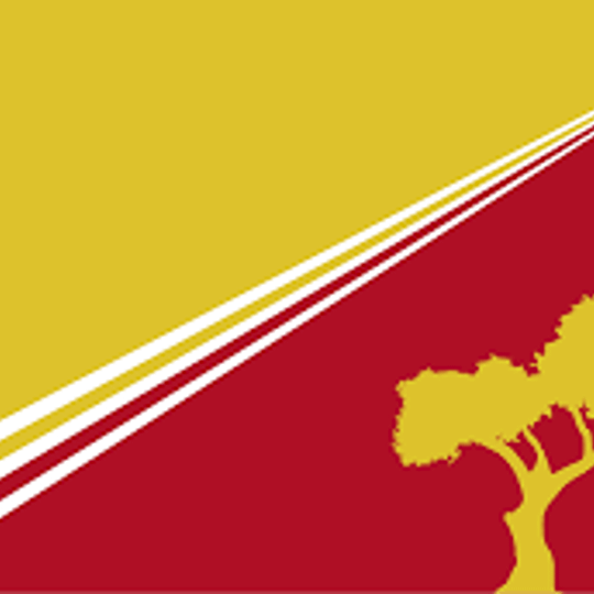 Municipio Independencia