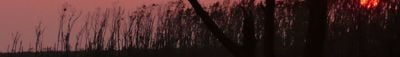 Panoramic View 18