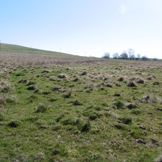 Fauler Bruch/Hemmeker Bruch