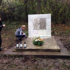 Jewish cemetery in Wąwolnica