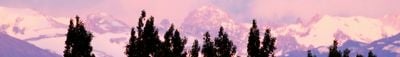 Panoramic View 1