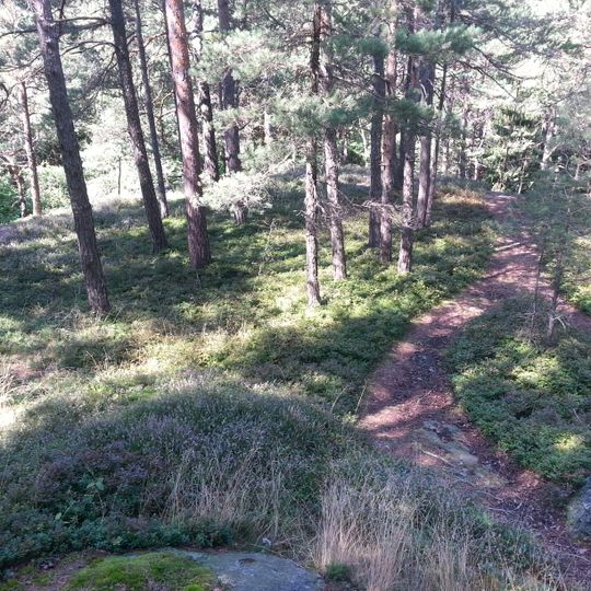 Höhensiedlung am Wartenstein