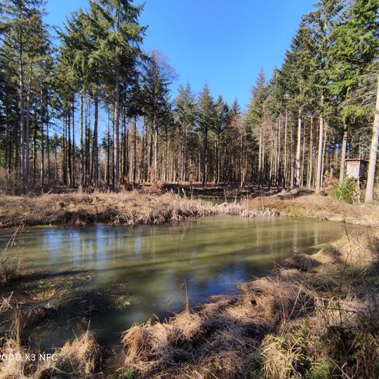 Naturdenkmal Krötensee Gemeindewald „Großer Uhlberg“ Distrikt I
