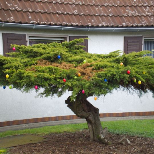 Easter egg tree