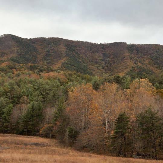 Brush Mountain East Wilderness