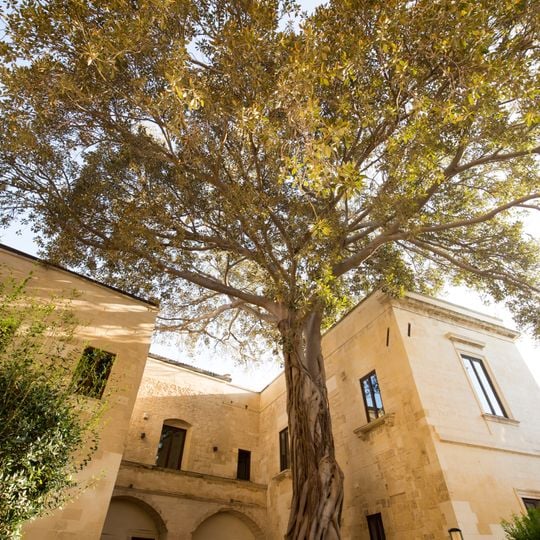 Ex Conservatorio di Sant'Anna