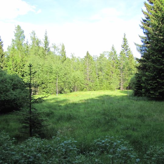 Hochmoorrest Siebensäure