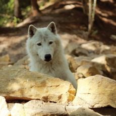 Parc Argonne Découverte