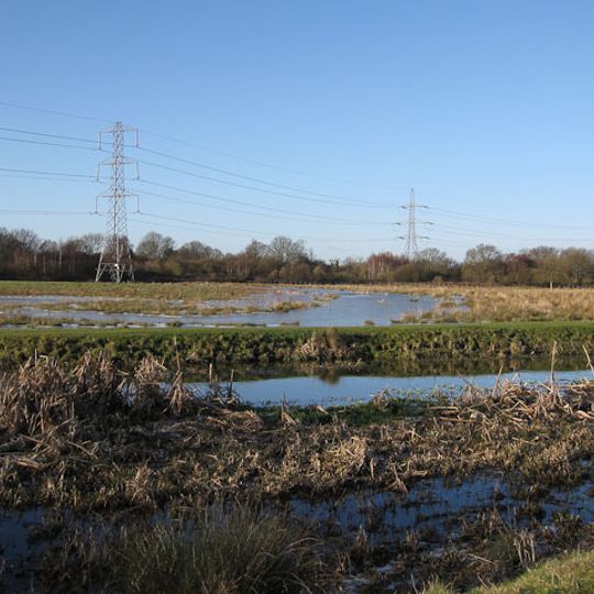 Staines Moor