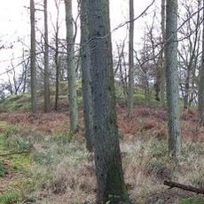 Cockroad Wood Castle