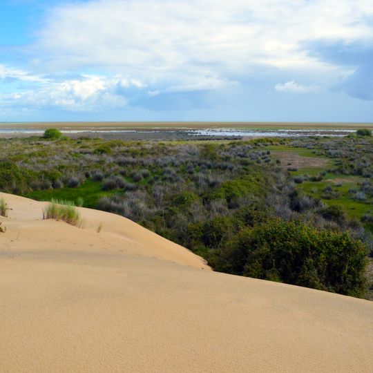 Parco nazionale di Doñana