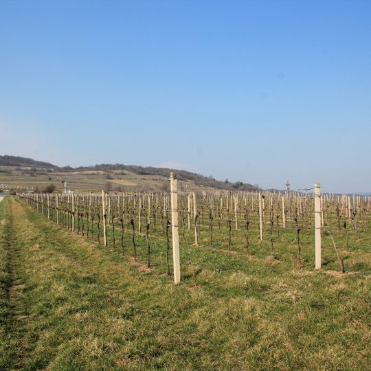 Naturschutzgebiet Eichkogel