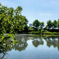 Alter Main bei Bergrheinfeld und Grafenrheinfeld