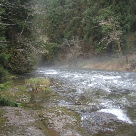 Drift Creek Wilderness