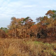 Minziro Forest Reserve