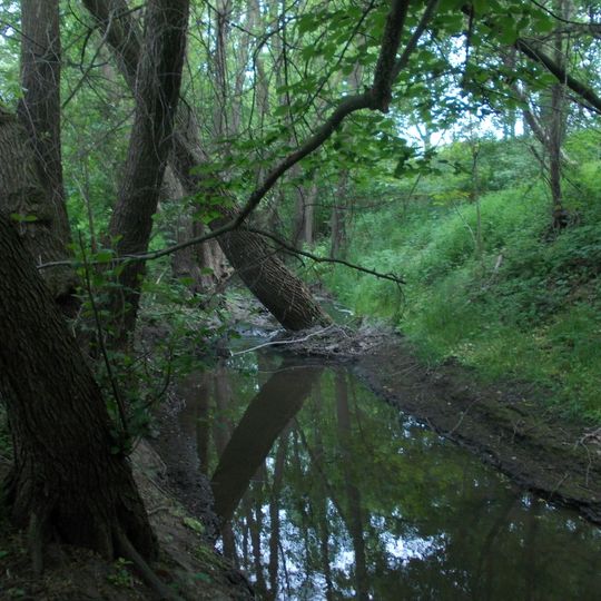 Wachtelberg-Mühlbachtal