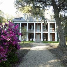 Shadows-on-the-Teche