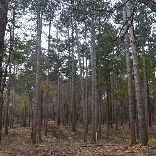 Kettle Moraine State Forest - Southern Unit at Whitewater Lake