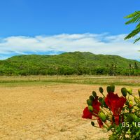 Distretto di Long Dien