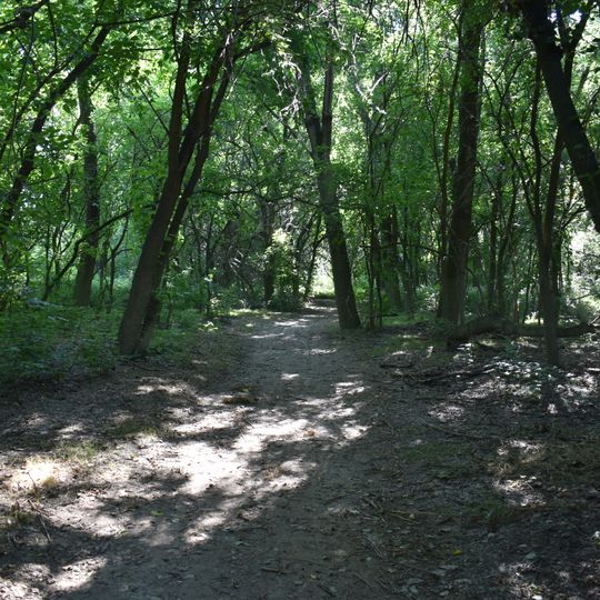 Bosco di Porporana