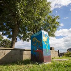 Irish Sea Underwater