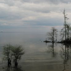 Lake Moultrie