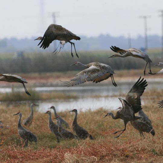 Merced National Wildlife Refuge
