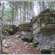 Bayshore Blufflands State Natural Area