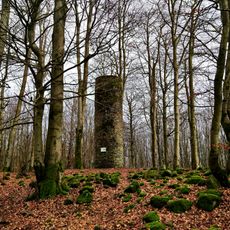 Naturschutzgebiet Ohlsteinbruch bei Steinau an der Straße