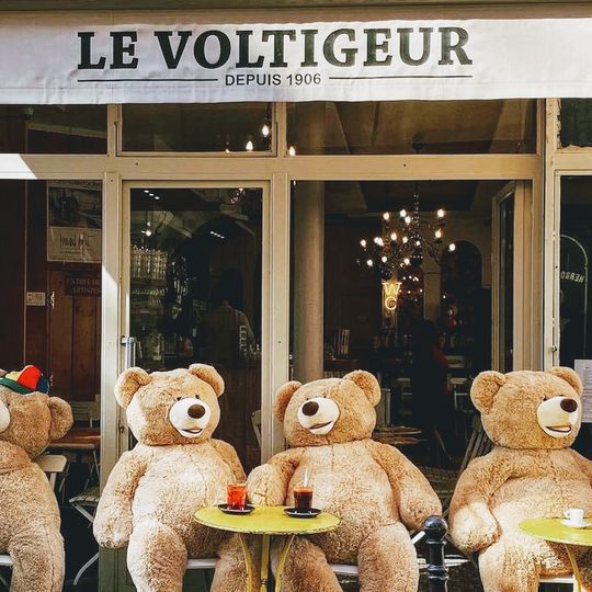 Le Voltigeur