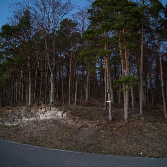 Waldrand und Wiesen am Kammerforst