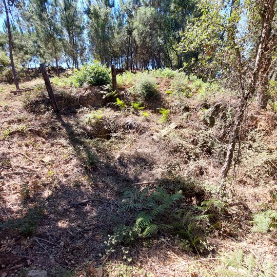 Forno do Cabeço da Cotovia