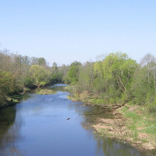 Lėvuo
