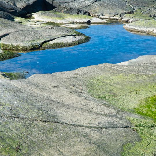 Svängehallar-Fjärehals