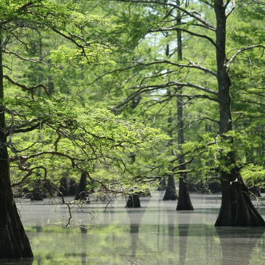 Big Lake National Wildlife Refuge